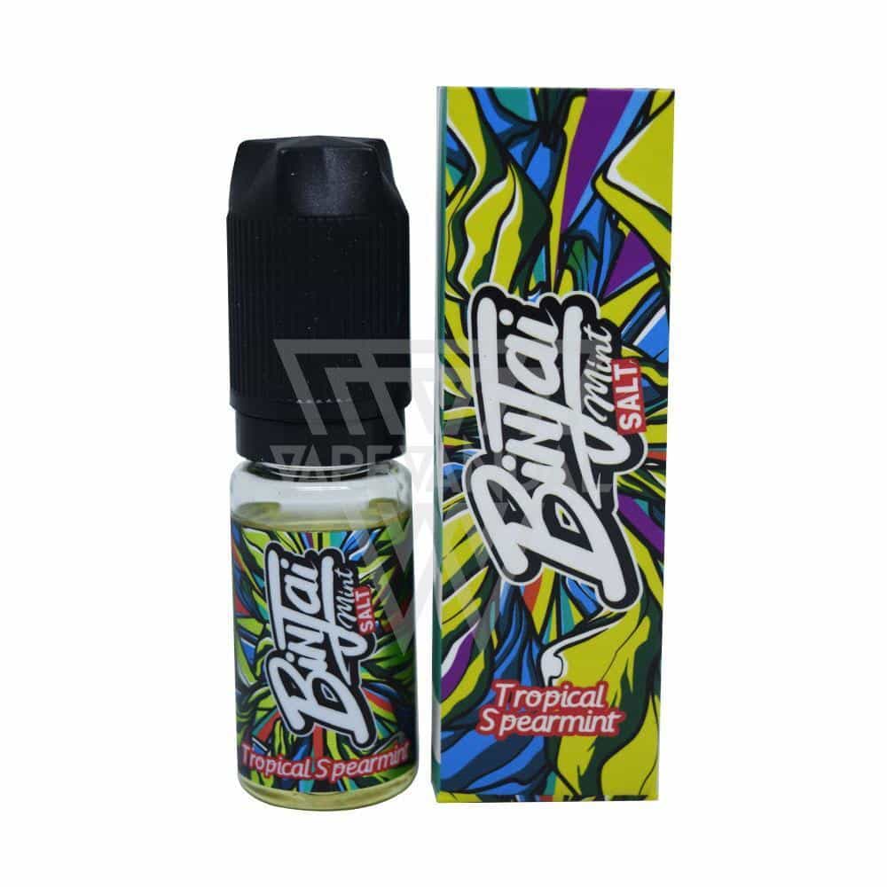 Binjai - Tropical Spearmint (Mint Series) Salt Nicotine - Vape Vandal - Best  vape e-liquids, disposable pods, shisha, heets and more