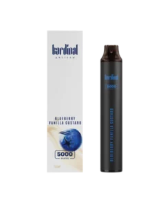 Kardinal Stick 5000 Puffs